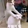 咻猫八碗