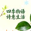 秋雨梧桐