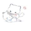 の