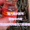老崔户外抓鳝鱼