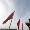 发发九九