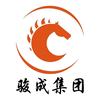 重庆骏成集团