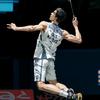 小涛今晚不打球🏸