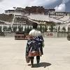 跑圈大宁