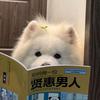 二十线营销号