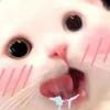 窝要小鱼干
