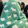 萨摩耶不是少爷