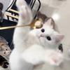 小王