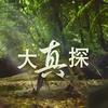 大真探回忆录