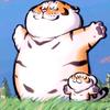 城巷子里的猫