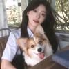 小白学姐