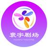 寰宇短剧