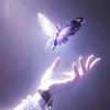 🦋夜明珠蝶🦋
