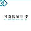 南阳智脑科技