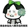 熊怼怼
