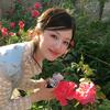 樱花落·