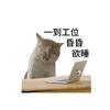 一颗小葡萄