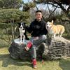 郑州犬之岛训犬学校