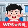 WPS玩家
