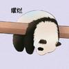 竹清丿