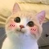 念晨钟