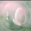 *花 . 弄 ࿐影