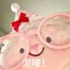 三天打鱼两天晒网（第三天版）