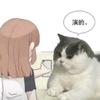子非鱼