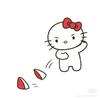 镜中花，