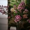 待到茉莉花🌸开时