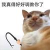 哒哒汤圆