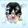 蓝色小猫