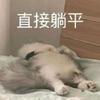 林栖梧·晚岑