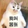 张豪赌