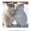菜就多练