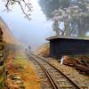 陌路风景