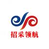招采领航