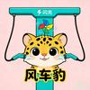 闪充风车豹（定制小风车私信发车型）