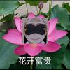 HuTao.半云千夏.QiQi