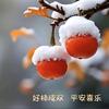 知夏听秋