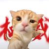被资本做局了