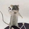 🐭