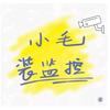 小毛装监控