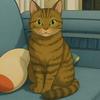 家有仙猫