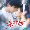 小豹子（短剧花絮版