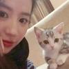 招财猫🌻西西