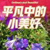 晨晨妈妈（努力涨粉）