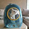 逗逗与猫
