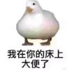 我在你床上大便了
