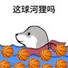 河狸的篮球🏀（美职篮全明星）